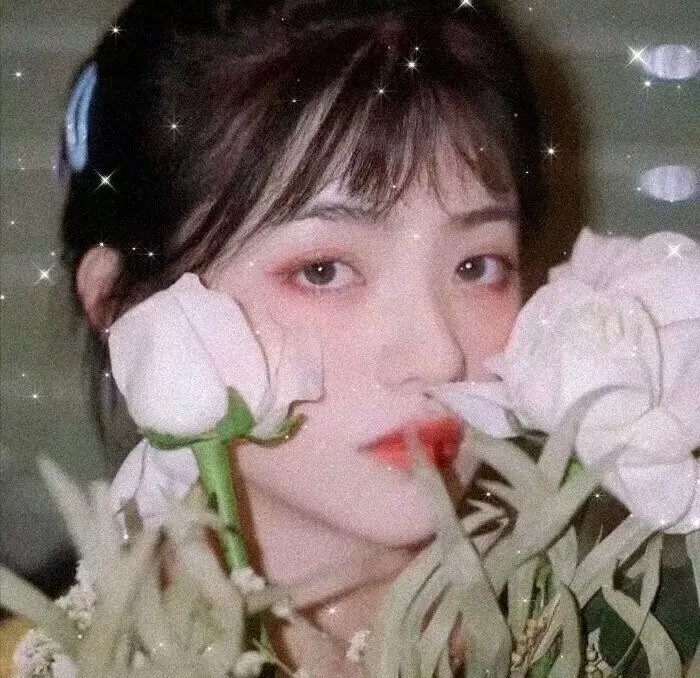蜜月计划