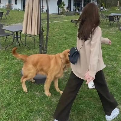 找寻过往